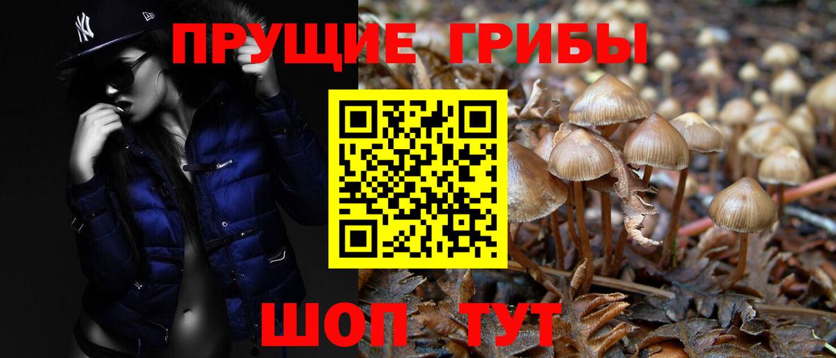 Галлюциногенные грибы Magic Shrooms  Вход с VPN  Кимовск  где можно купить наркотик  Псилоцибиновые грибы прущие грибы 